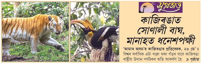 kaziranga