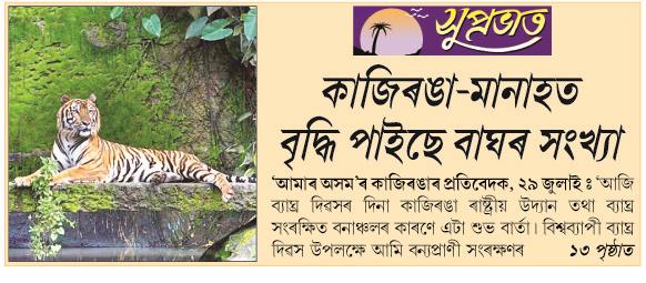 kaziranga