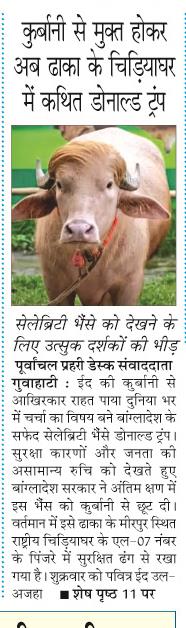 kurbani se